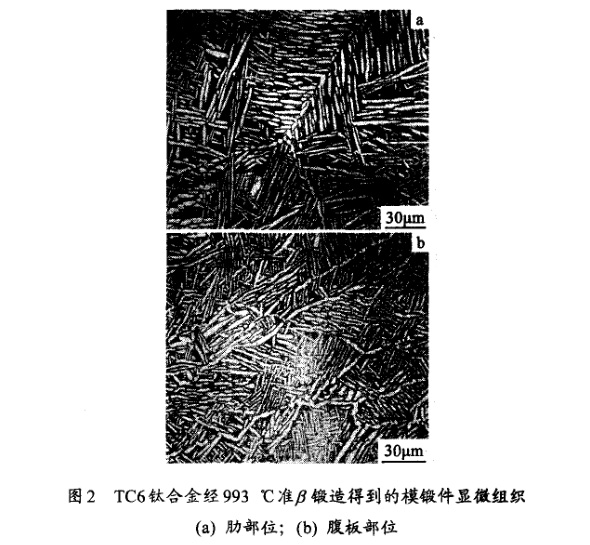 TC6鈦合金經(jīng)993℃準β鍛造得到的模鍛件顯微組織(a) 肋部位；(b) 腹板部位