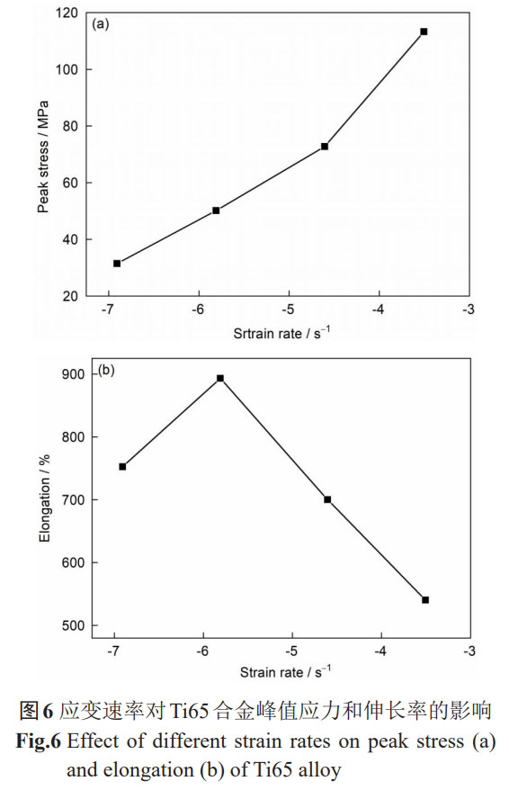 1761010567264911.jpg t6.jpg