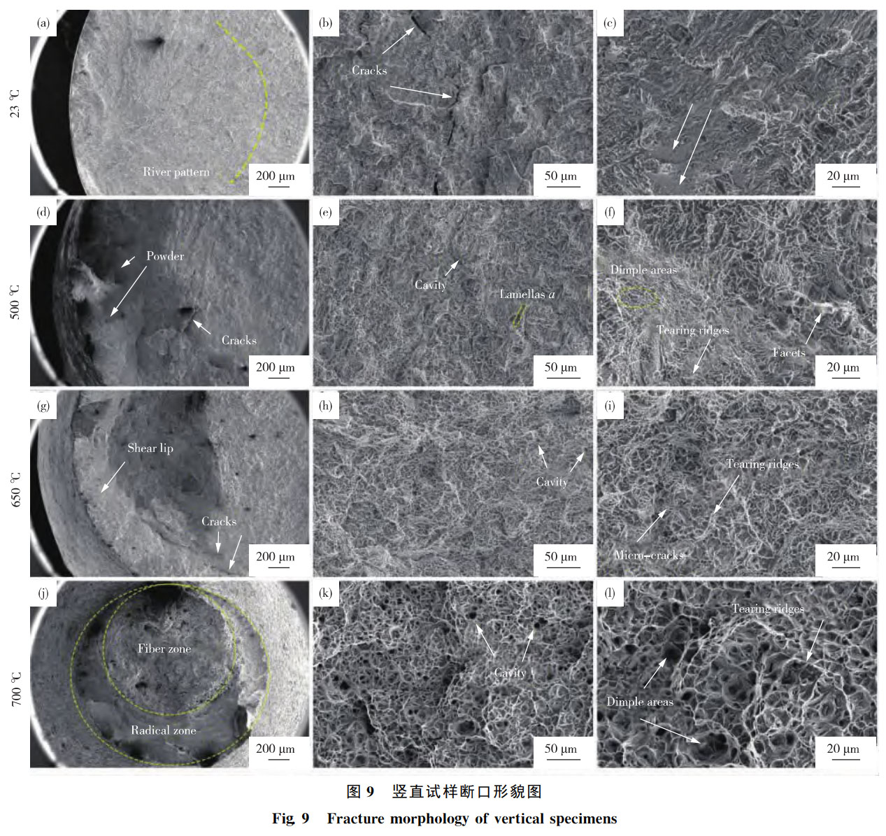 1762347893769336.jpg 未標題-4.jpg